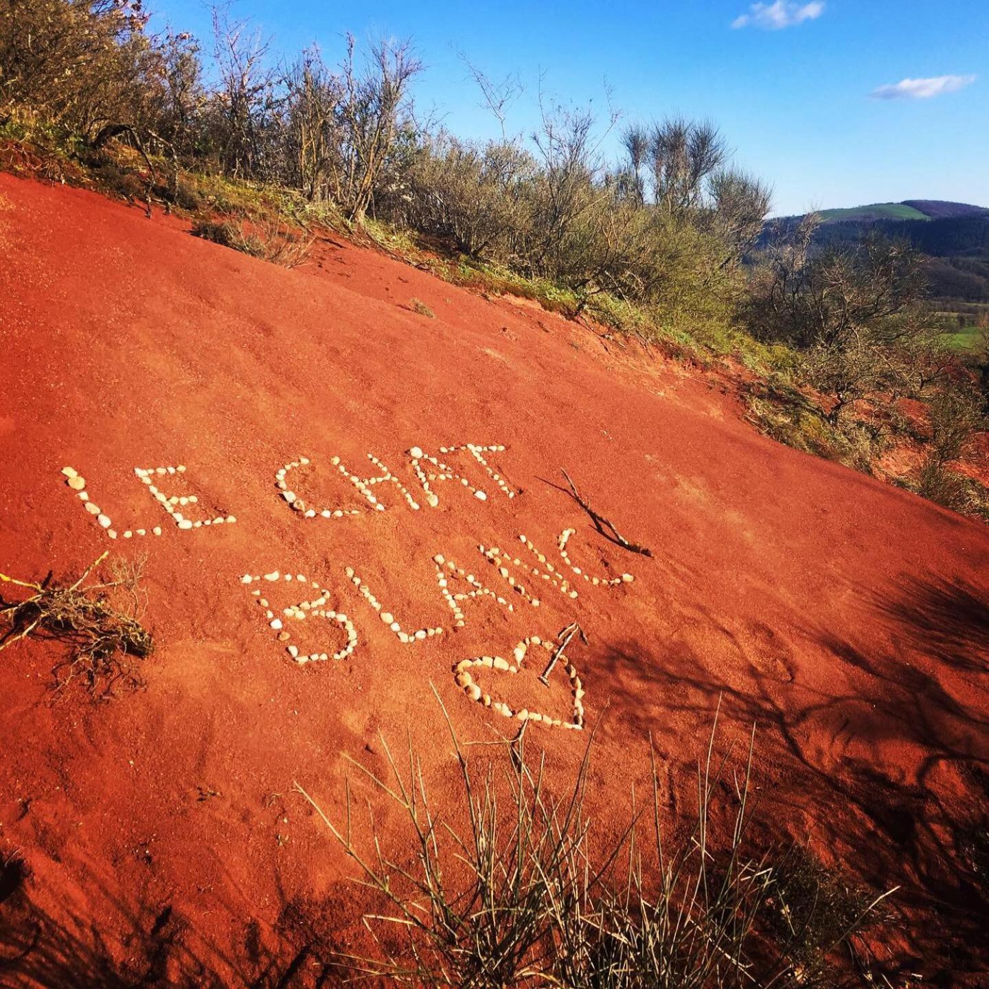 Le Chat Blanc Versols-et-Lapeyre Bagian luar foto